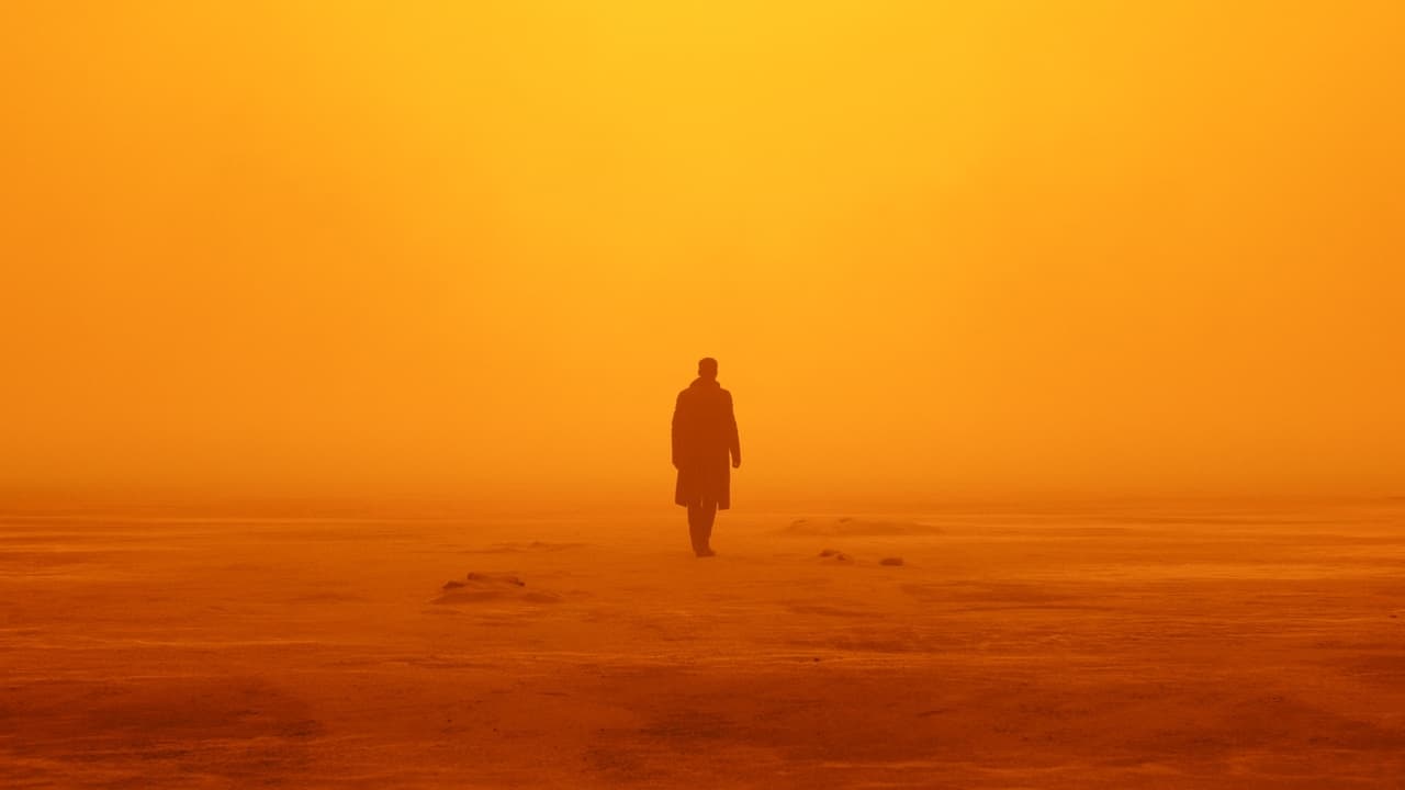 Blade Runner 2049 tt1856101 backdrop