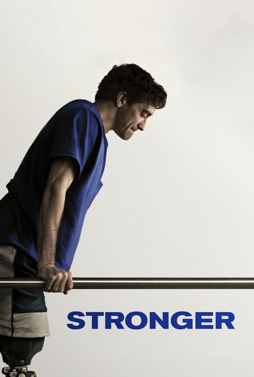 Stronger tt3881784 cover